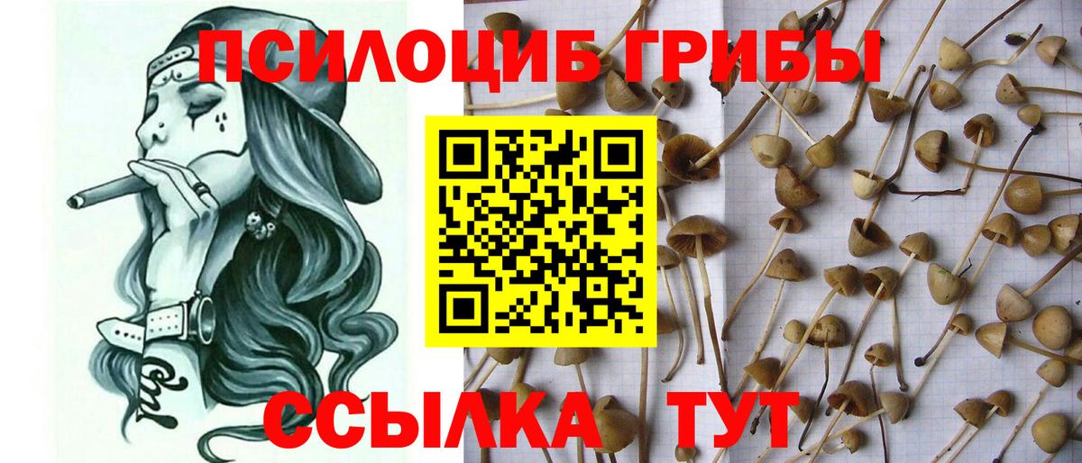 Галлюциногенные грибы GOLDEN TEACHER Кашира